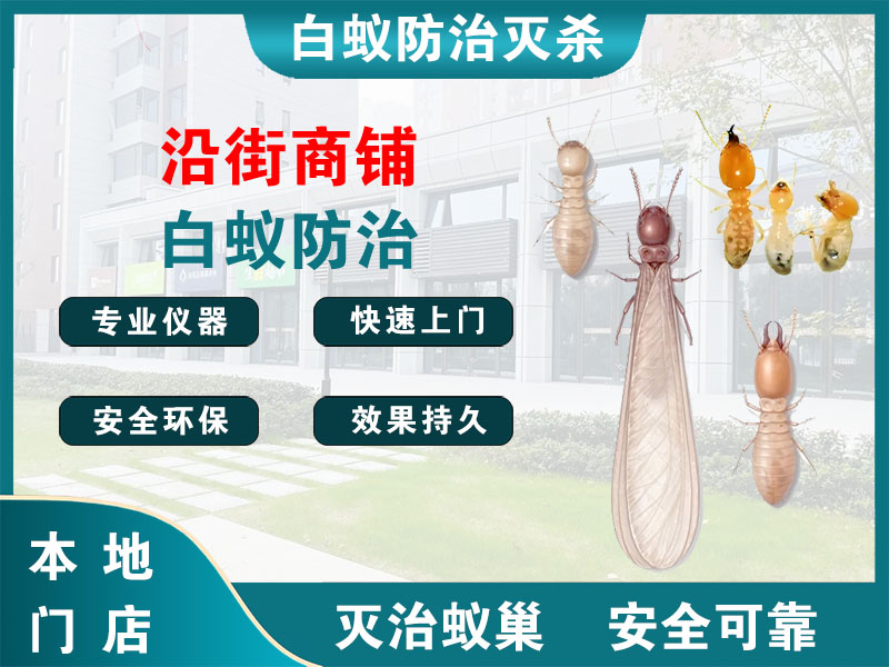 镇海区沿街商铺白蚁防治