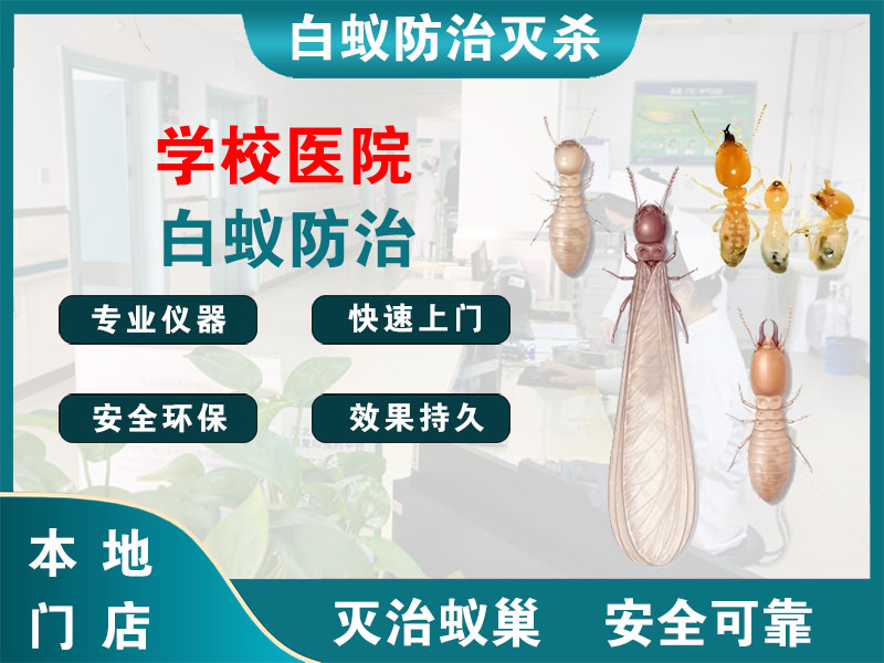 镇海区学校医院白蚁防治