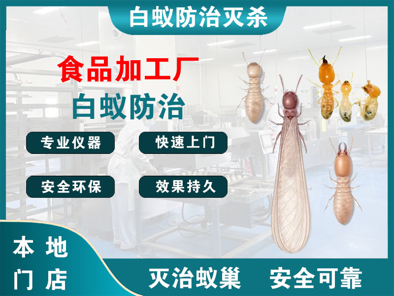 镇海区食品加工厂白蚁防治
