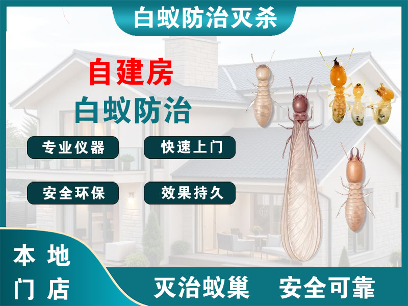 镇海区自建房白蚁防治