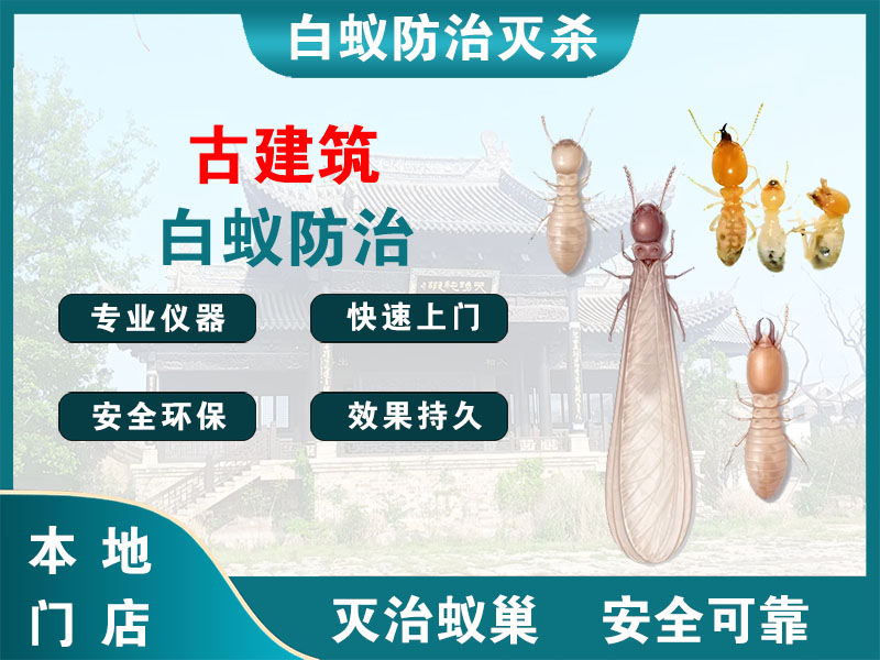 镇海区古建筑白蚁防治