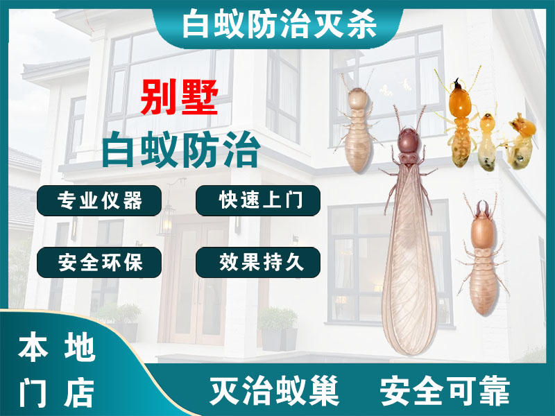 镇海区别墅白蚁防治